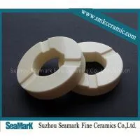 High Strength Washing Machine Ceramic Plunger photo-3
