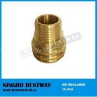 Brass PPR Insert Fitting