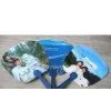 Plastic Fan