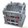 Auto Lamp Mould