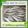 Frozen Sardine Fish