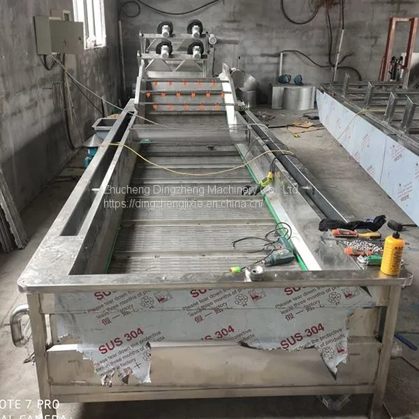 Stainless Steel Mesh Belt Fruit And Vegetable Cleaner Machine Ozone Vegetable Washing Machine