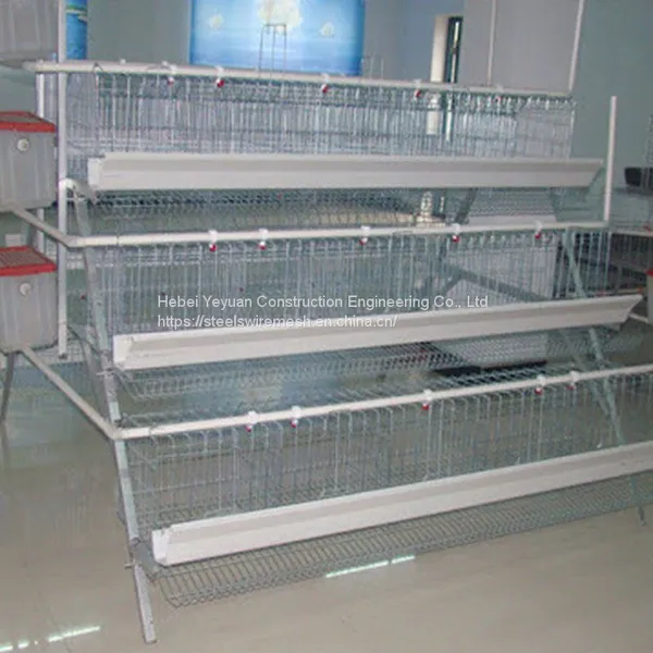 Layer Chicken Wire Cages Wire Chicken Cages Chicken Wire Cages photo-3