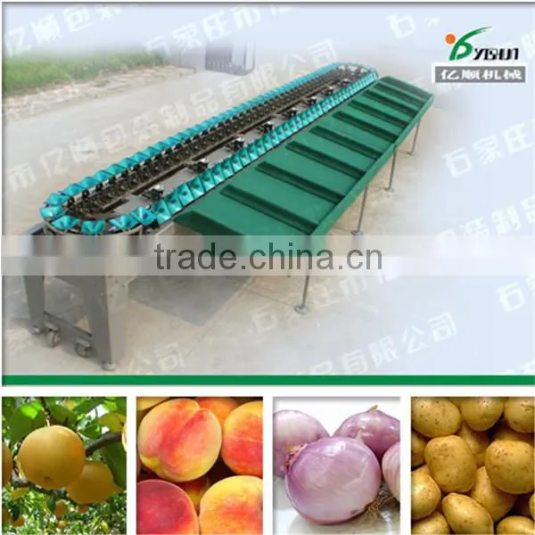 Mango fruit grading machine/fruit sorting machine