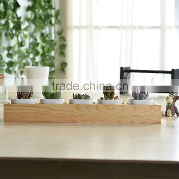 Wooden Planter Box Succulent Plants in Pots photo-6