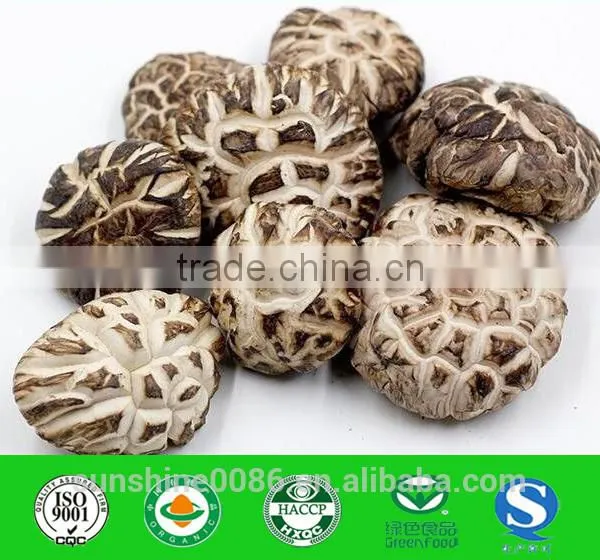 Dried Shiitake Mushroom With Best Quality