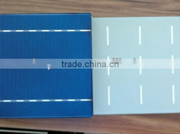 3BB Poly Solar Cells 6x6 for Sale Direct China