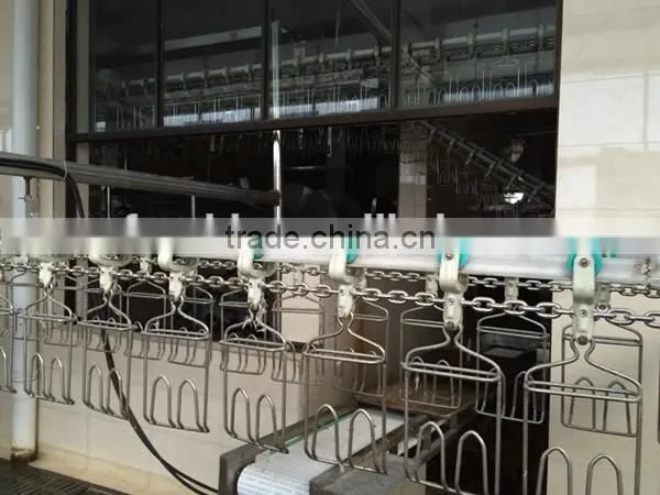 Convyer Machine/slaughtering Equipment/poultry Slaughter Equipment