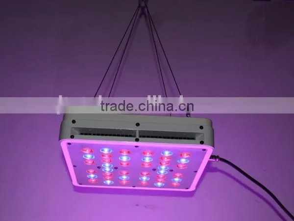 High Power 200W LED Grow Light 3 Years Warranty for Medical Plants photo-6