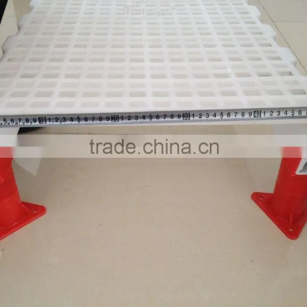 Plastic Slats Flooring for Poultry Farms, Poultry Farming Equipment (Professional Manufacturer) photo-5