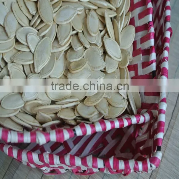 High Quality Shine Skin Pumpkin Seeds 2015 photo-2