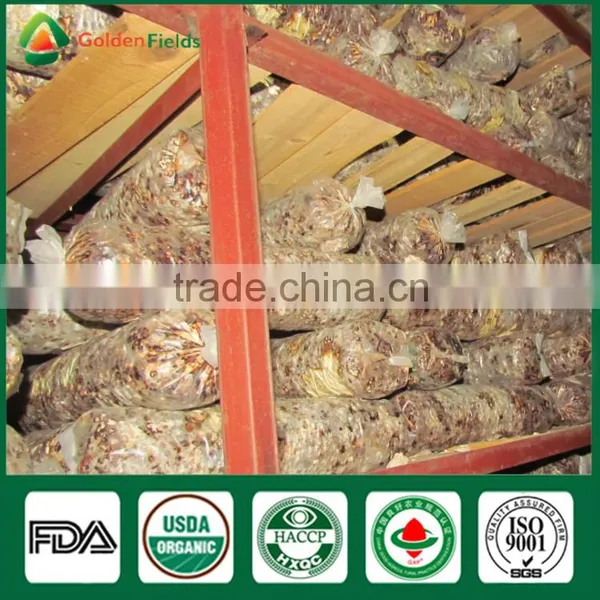 Mushroom Seller Fresh Dried Shiitake Mushroom Growing Log Shiitake Mushroom Spawn for Mushroom Farm photo-4