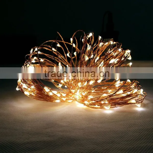 12 Volt LED Strings Light AU 100v-240v Plug Adapter photo-2