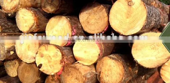 Bed Slats LVL Pine / Birch Wood Logs Hardwood Popular Shandong photo-3