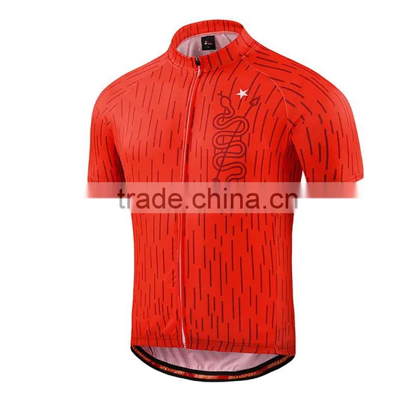 Dry Fit Stripe Cycling Jersey With BIB Shorts 2017 photo-3