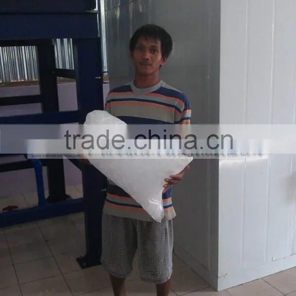 Compact Design 15 Ton Ice Tube Machines Manufacturer For Sale photo-6