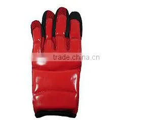 TaeKwonDo, UFC, MMA Glove