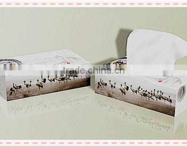 Wholesale Price Custom OEM Box Facial Tissues Paper photo-3