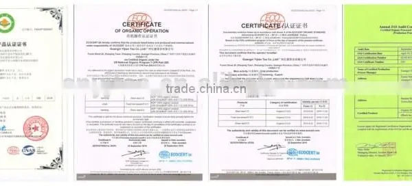 Organic Amino Acid Green Tea Anti Aging Product With Factory Price photo-5