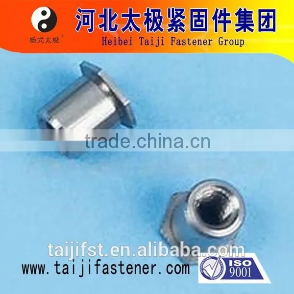 China Manufacture Hex Head Rivet photo-5