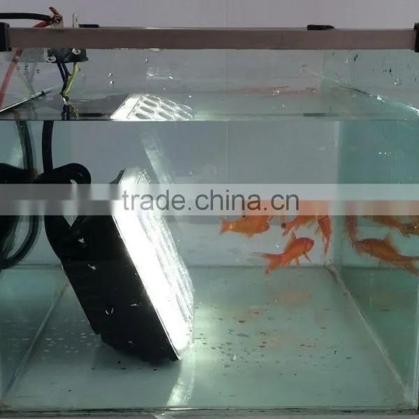 Square Waterproof Sun Lamp for Aotu photo-4