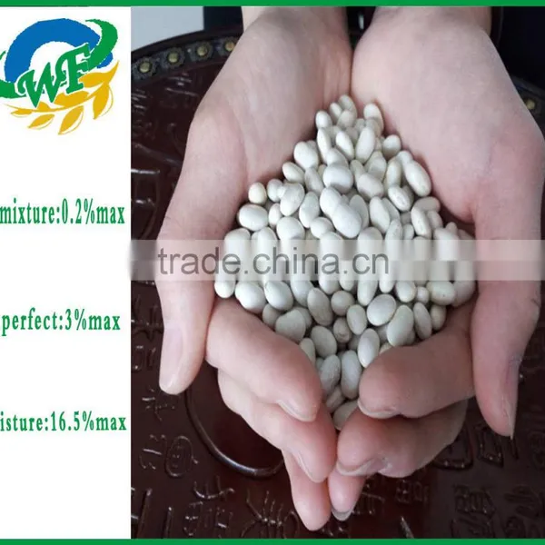 Chinese White Kidney Beans (japanese Type) photo-3