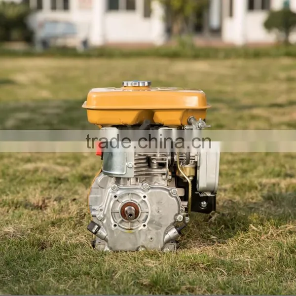 Factory Direct Sale High Quality Same As Robin EY20 5.5HP Gasoline Engine photo-4