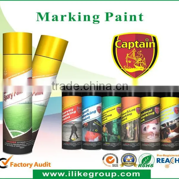 Aeropak Glow in the Dark Road Marking Paint photo-2