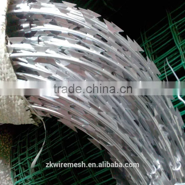 Stainless Steel Razor Barbed Wire for Sale photo-6