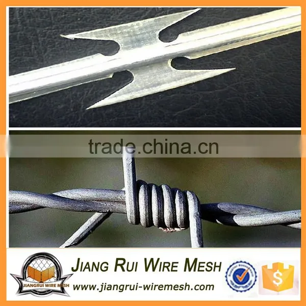 Best Quality Cheapest Price Barbed Wire for Sale photo-4