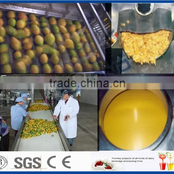 Complete Set of Mango Juice Production Line photo-3
