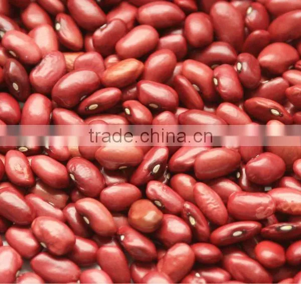 Red Kidney Beans