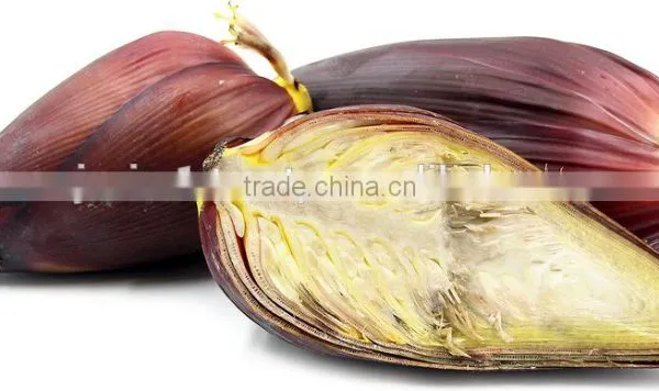 Banana Flower Exporters photo-3