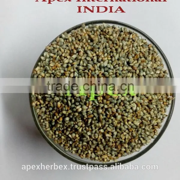 Apex Supplies Quality Green Millet photo-2