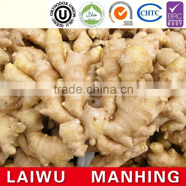 Wholesale Hot Sale Common Cultivation Type Fresh Ginger