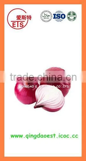 Bulk Market Price Fresh Red Onion Products photo-2