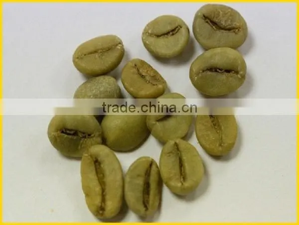 WASHED ARABICA GREEN COFFEE BEANS GRADE 1 SCREEN 16 photo-6