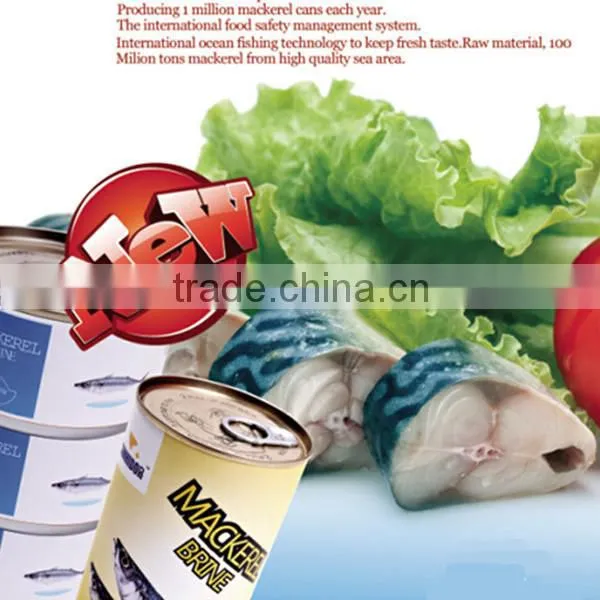 Good Flavor Canned Fish Mackerel Piece in Brine photo-6