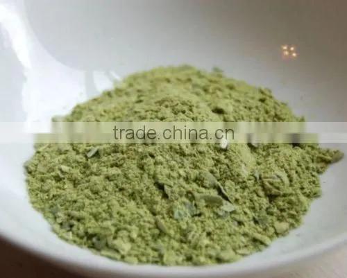 Dried Holy Basil (Tulsi) Herb Powder - Excellent for Immunity
