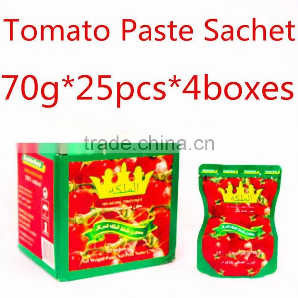 Oem Brand Tomato Ketchup Paste Organic Food Halal Food Flavor Chinese Manfacturer photo-3