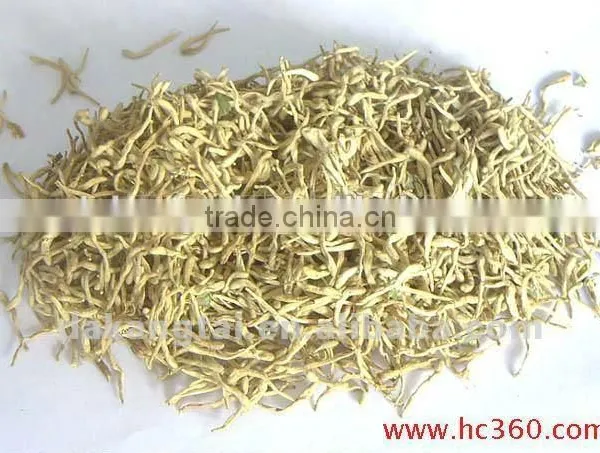 Traditional Chinese Madicine of Honeysuckle Flower