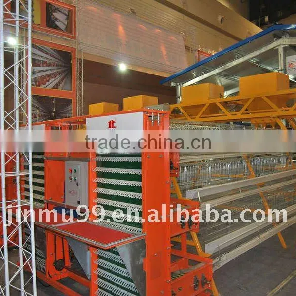 Automatic Egg Collection Equipment