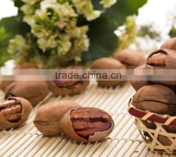 Shanghai Minggu Soybean Milk Making Machine|High Production Soybean Milk Making photo-5