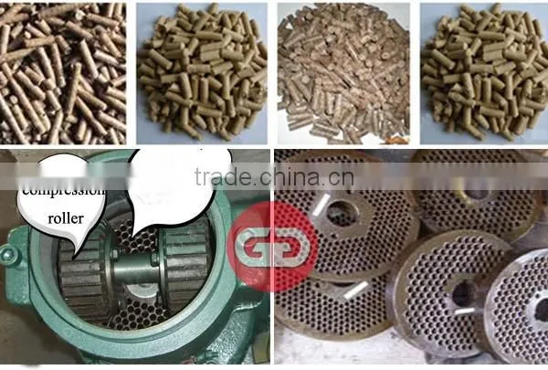 China Factory Price Chicken Fodder Pellet Mill photo-3