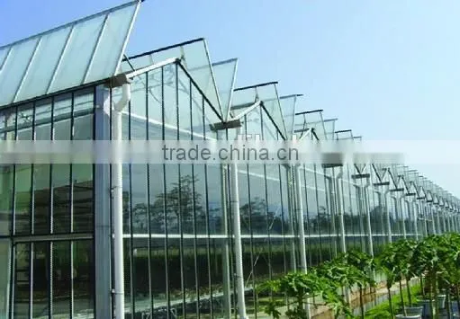High Quality Glass Commercial Greenhouse in Steel Structure photo-4