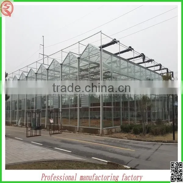 Hot Sale 9.6m Multi-span Agriculture Glass Greenhouse Grow Tent for Planting