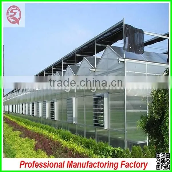 Hot-dip Galvanized Steel Frame Multi-span Greenhouse With Manufacturer photo-2
