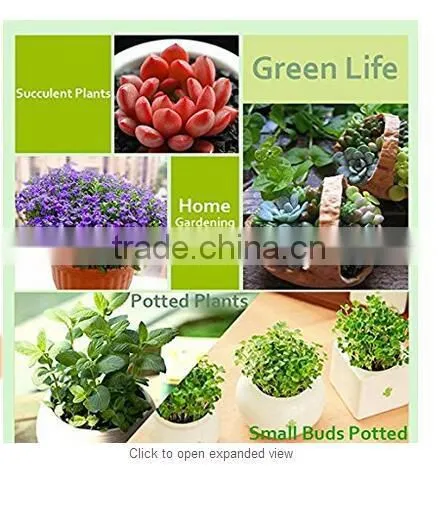 High Quality 10W Led Clip Grow Light Hydroponict Are Hot-selling for Factory Buttom Price in 2017 photo-4