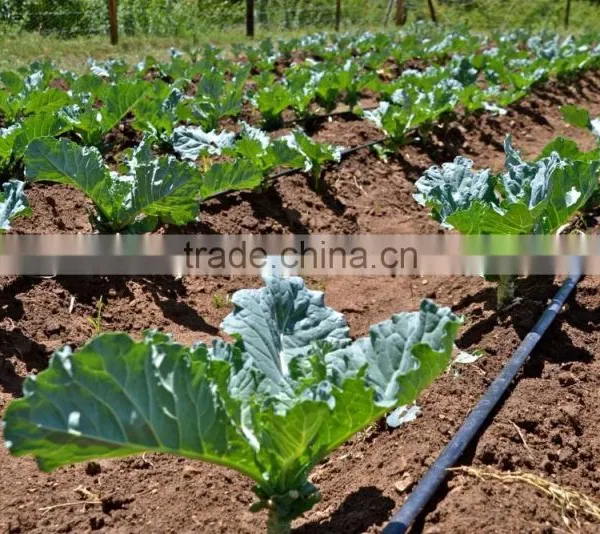 High Quality LDPE Drip Irrigation Pipe With Factory Price photo-3