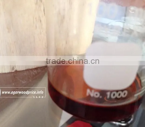 Vietnam High Quality Oud Essential Oil Brand, Finding Partners for Long Term Business Relationship in Agarwood Market photo-2